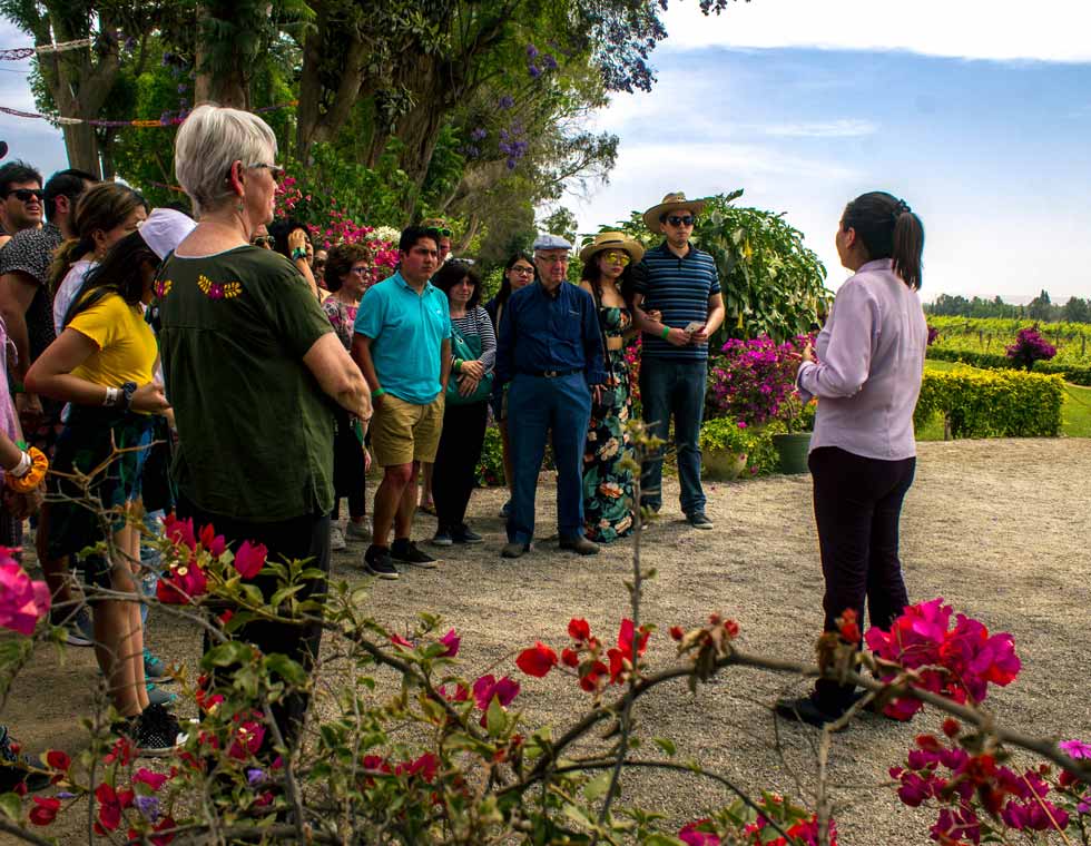 WINE TOUR AND PISCO TRAIL PREMIUM