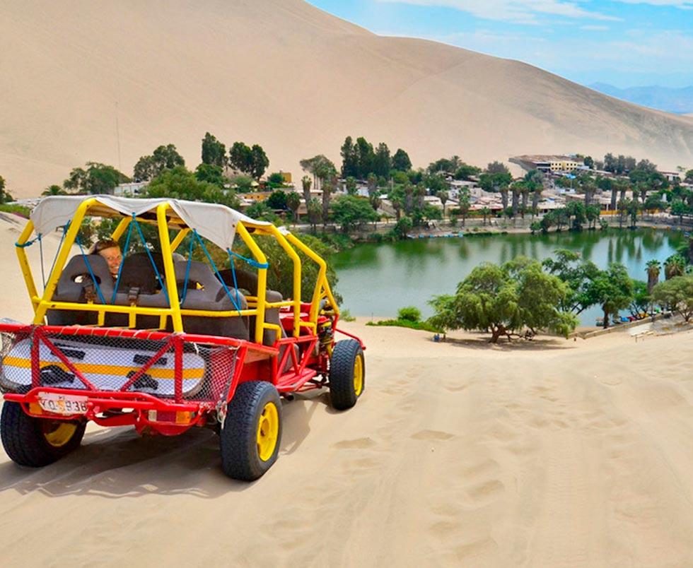 WINE TOUR AND PISCO TRAIL PREMIUM