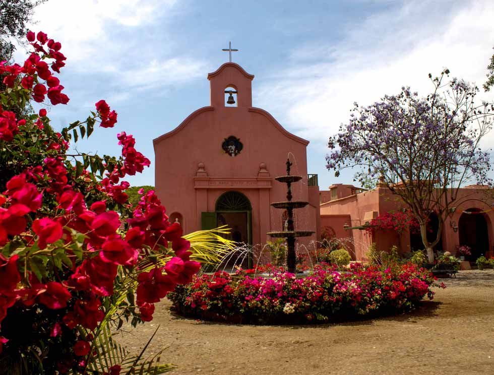 WINE TOUR AND PISCO TRAIL PREMIUM