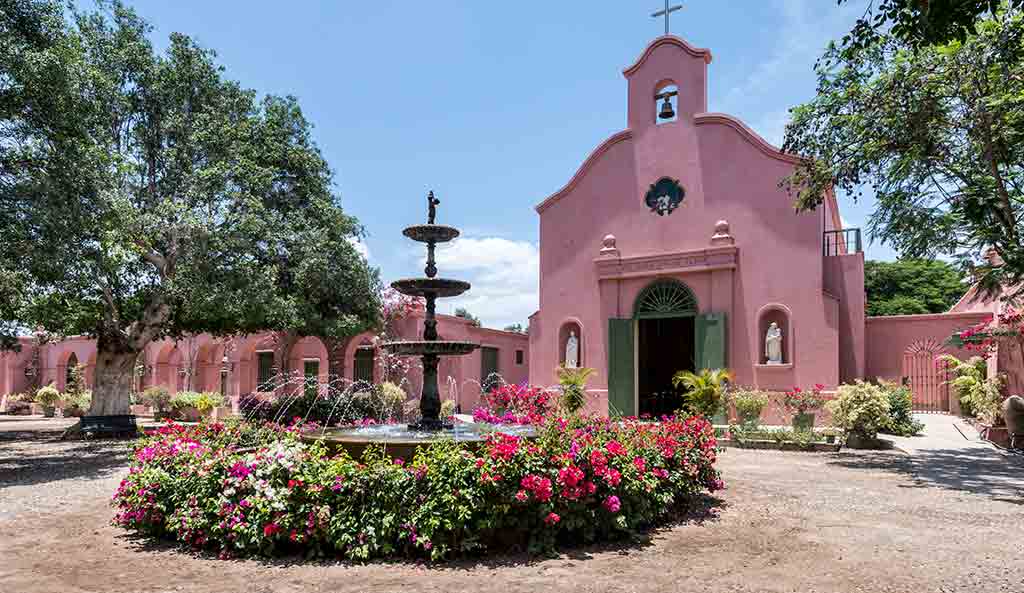 Full day - WINE TOUR AND PISCO TRAIL PREMIUM
