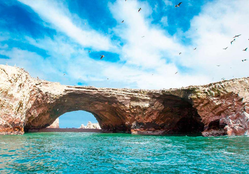 PARACAS 2 DAYS 1 NIGHT FIRST OPTION