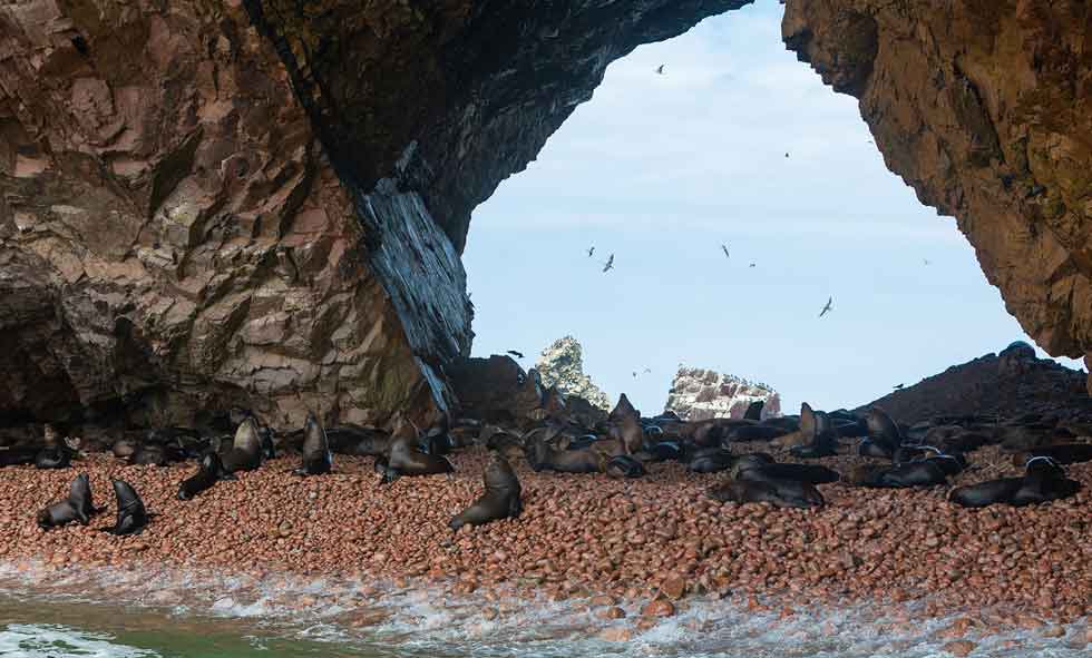 PARACAS 2 DAYS 1 NIGHT SECOND OPTION