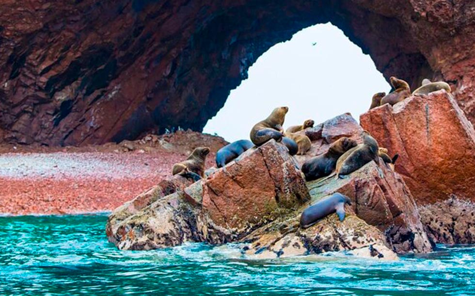 PARACAS 2 DAYS 1 NIGHT SECOND OPTION